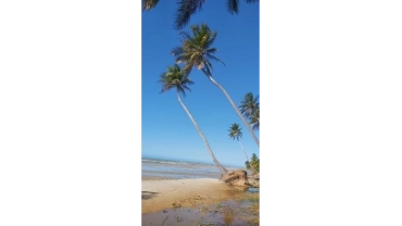 PRIVATIVO ICARAIZINHO DE AMONTADA